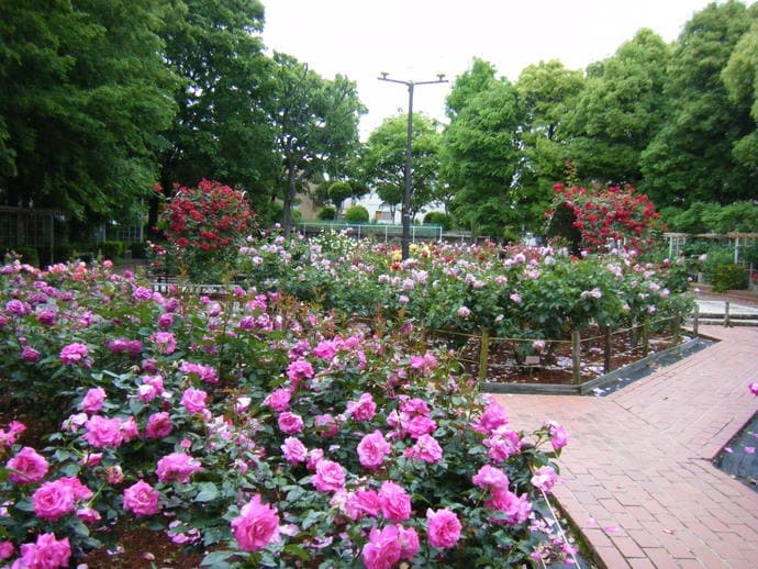 大井戸公園