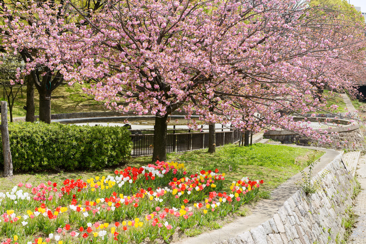 上坂部西公園